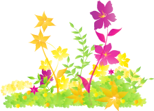 キャンバス インスタンス: 画像